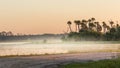 Florida marsh and swamp at sunrise with fog, Orlando Wetlands Royalty Free Stock Photo