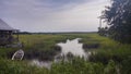 Florida Marshlands Royalty Free Stock Photo