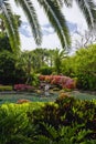 Florida Palm Garden