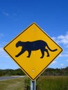 Florida Panther Crossing