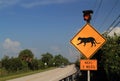 Florida Panther Crossing Sign