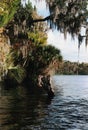 Florida River Style Royalty Free Stock Photo