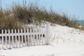 Florida Sand Dunes Royalty Free Stock Photo