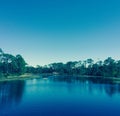 Florida seaside Royalty Free Stock Photo