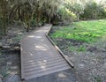 Florida Shell Mound Archaeological Site Trail