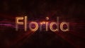 Florida - Shiny looping state name text animation