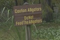 Florida sign cautions about alligators Royalty Free Stock Photo