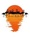 Florida is spelled out in the legs of a flock of flamingos standing in shallow water at sunset in this illustration about tropical