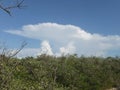 a Florida storm cloud over the mangroves