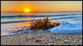 Hutchinson Island sunrise Royalty Free Stock Photo