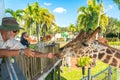 Florida, USA - September 19, 2019: Feeding giraffes in Lion Country Safari park in West Palm Beach Florida