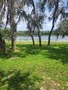 Florida view beautiful land scap Royalty Free Stock Photo