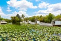 Florida wetland, Airboat ride at Everglades National Park in USA. Royalty Free Stock Photo