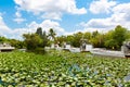 Florida wetland, Airboat ride at Everglades National Park in USA. Royalty Free Stock Photo