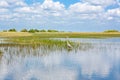 Florida wetland, Airboat ride at Everglades National Park in USA. Royalty Free Stock Photo