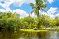 Florida wetland, Airboat ride at Everglades National Park in USA. Royalty Free Stock Photo