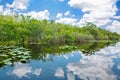 Florida wetland, Airboat ride at Everglades National Park in USA Royalty Free Stock Photo