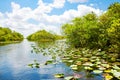 Florida wetland, Airboat ride at Everglades National Park in USA Royalty Free Stock Photo
