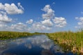 Everglades National Park - Florida Royalty Free Stock Photo