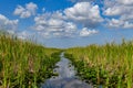 Everglades National Park - Florida Royalty Free Stock Photo