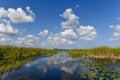 Everglades National Park - Florida Royalty Free Stock Photo