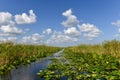 Everglades National Park - Florida Royalty Free Stock Photo