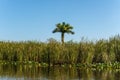 Florida wetland, natural landscape in Everglades National Park Royalty Free Stock Photo