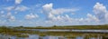Florida wetland. Everglades National Park in Florida, USA. Royalty Free Stock Photo