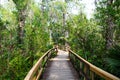 Florida wetland, wooden path trail at Everglades National Park in USA. Royalty Free Stock Photo