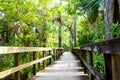 Florida wetland, wooden path trail at Everglades National Park in USA. Royalty Free Stock Photo