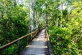 Florida wetland, wooden path trail at Everglades National Park in USA. Royalty Free Stock Photo