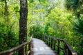 Florida wetland, wooden path trail at Everglades National Park in USA. Royalty Free Stock Photo