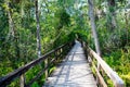 Florida wetland, wooden path trail at Everglades National Park in USA. Royalty Free Stock Photo