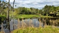 Florida Wetlands landscape Royalty Free Stock Photo