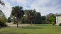 A florida yard with large overgrown palm trees in need of a trim