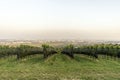 Vienna's Sky View: Floridsdorfer Panorama Observation Deck