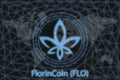 FlorinCoin FLO Abstract Cryptocurrency. With a dark background and a world map. Graphic concept for your design