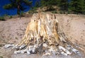 Florissant Fossil Beds