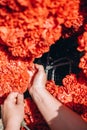 Florist creates a composition of red carnations