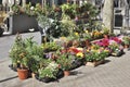 Florist display in Barcelona. Spain Royalty Free Stock Photo