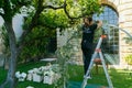 Florist girl decorates wedding arch with fresh flowers. Wedding florist decorators workflow Royalty Free Stock Photo