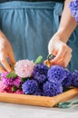 Florist girl gathering bouquet of hyacinth flowers. Flower shop, gift concept.