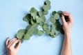 Florist hands make eucalyptus bouquet