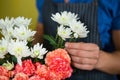Florist holding flowers in florist shop Royalty Free Stock Photo