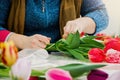 Florist makes bouquet of tulips at flower shop. Hands hold multi-colored spring flowers. Royalty Free Stock Photo