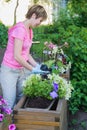 Florist plants flowers in wooden container pot