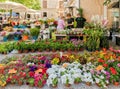 Florist at Pollensa Market, Mallorca. Royalty Free Stock Photo