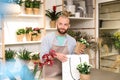 Florist putting beautiful potted plant into paper bag