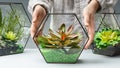 Florist putting florarium with succulent plants on table