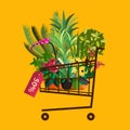 Florist shop.Shopping cart with plants.Flower store flat design.